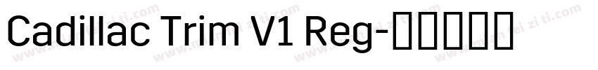 Cadillac Trim V1 Reg字体转换